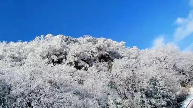 天谕手游